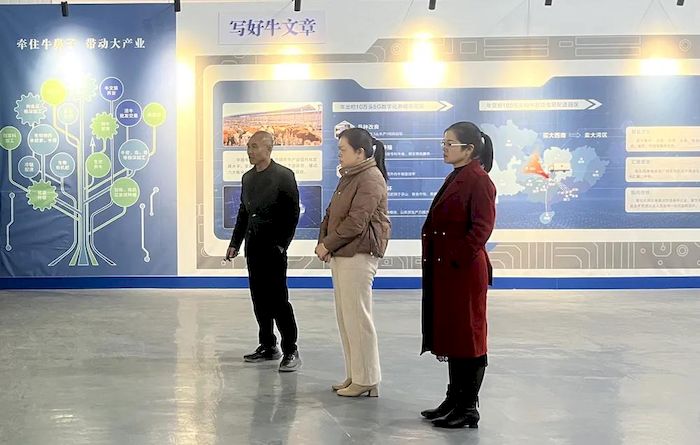5_结果.jpg