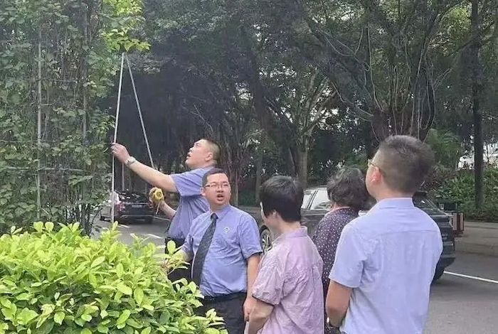 1_结果.jpg