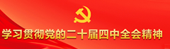 学习贯彻党的二十届四中全会精神