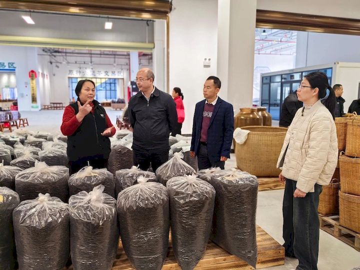 1767925945801773.jpg 2_结果.jpg