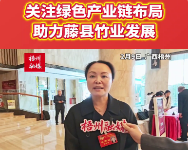 关注绿色产业链布局 助力藤县竹业发展