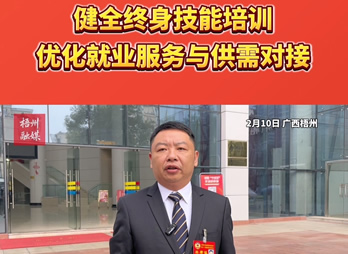 健全终身技能培训，优化就业服务与供需对接