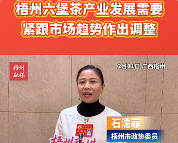 梧州六堡茶产业发展需要紧跟市场趋势作出调整